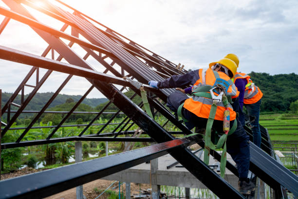 Best Sealant for Roof  in Fairbury, NE