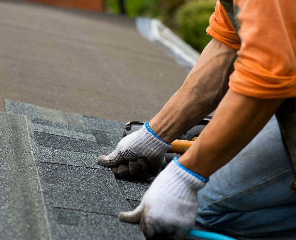 Best Roof Repair Services  in Fairbury, NE